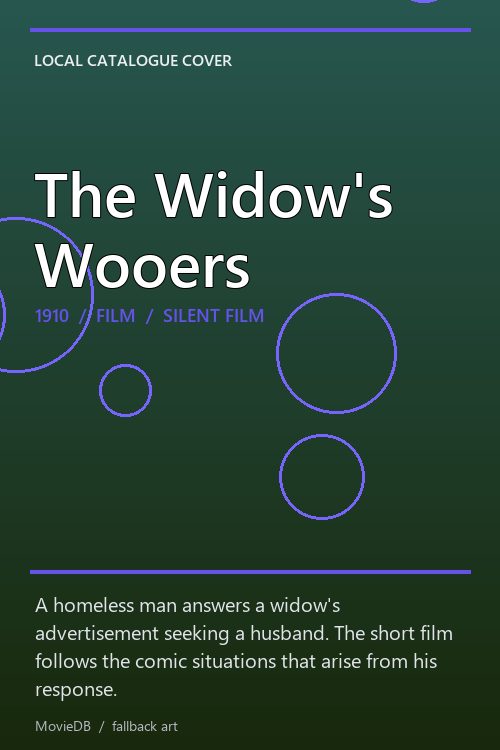 The Widow's Wooers poster