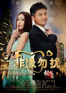 Destiny by Love poster
