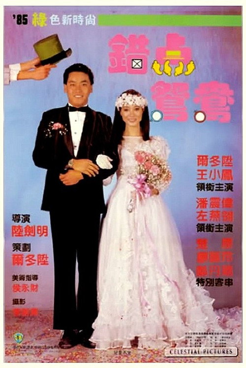 Love with the Perfect Stranger poster