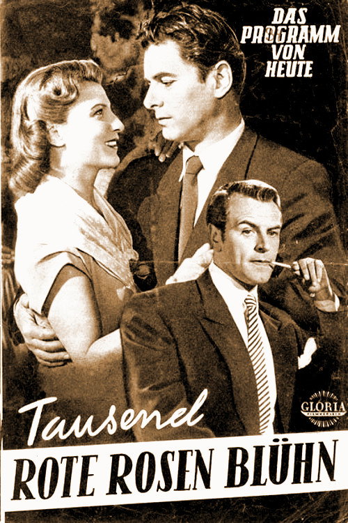 A Thousand Red Roses Bloom poster