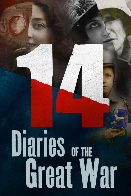 14 - Diaries of the Great War poster