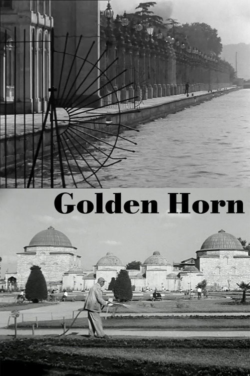 La corne d'or poster