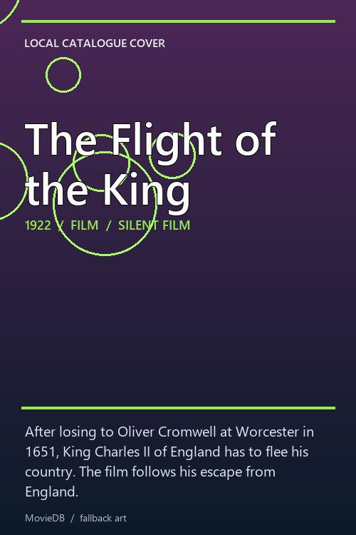 The Flight of the King poster
