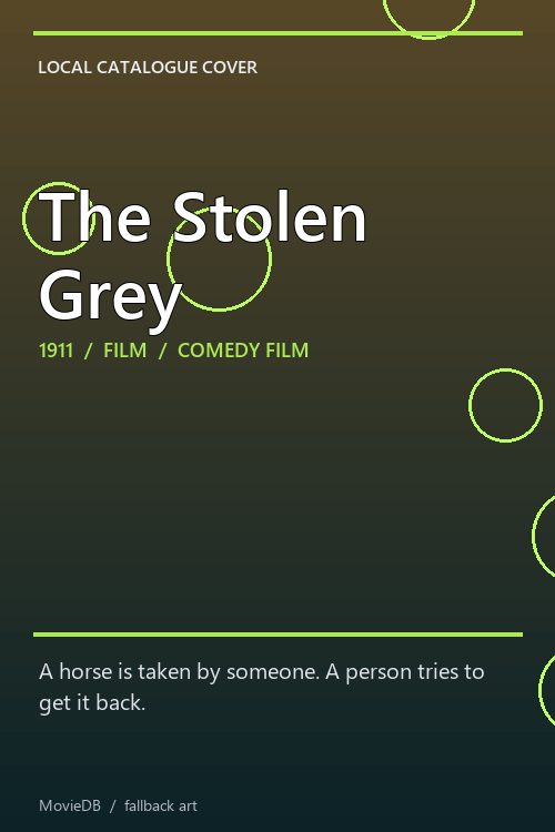 The Stolen Grey poster