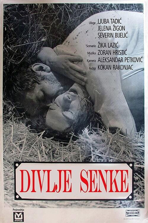 Divlje seme poster