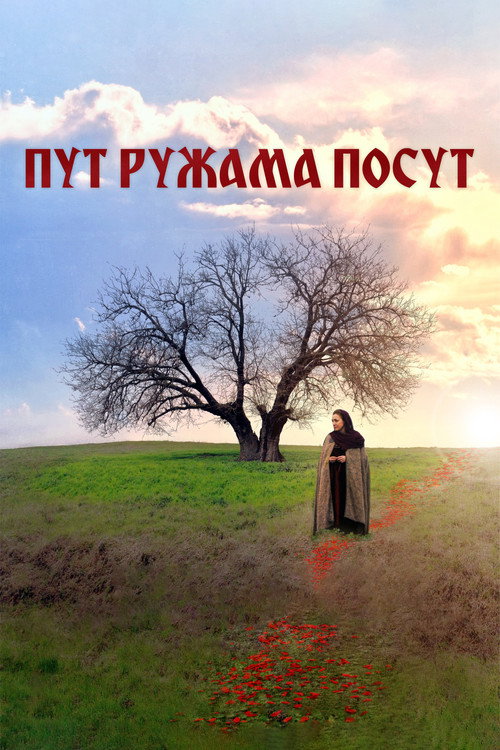 Put Ruzama Posut poster