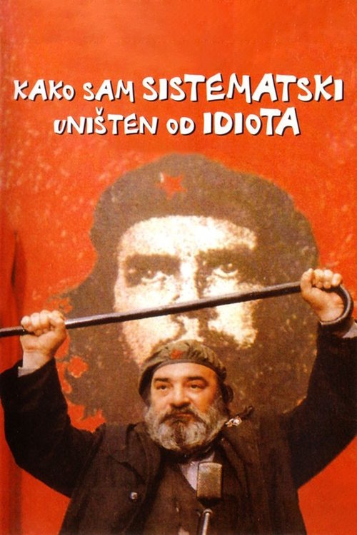 How I Was Systematically Destroyed by an Idiot poster