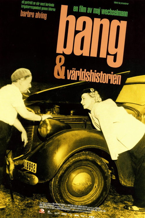Bang och världshistorien poster