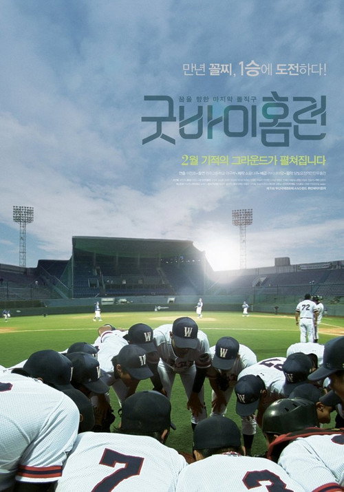 Goodbye Homerun poster