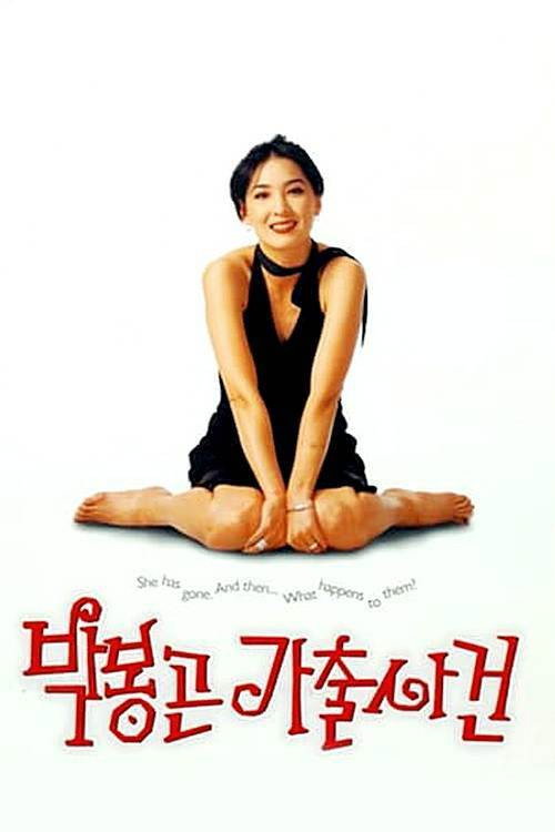 The Adventures Of Mrs. Park poster