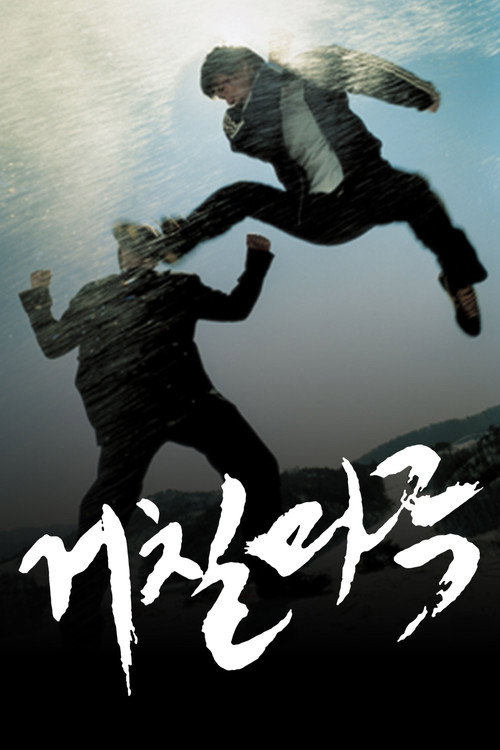 The Showdown poster