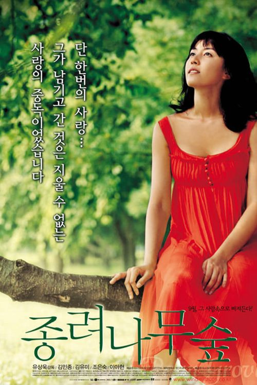 The Windmill Palm Grove poster
