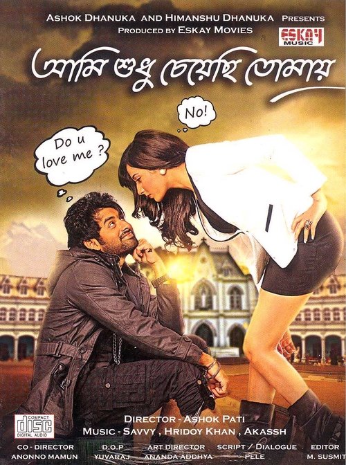 Ami Shudhu Cheyechi Tomay poster