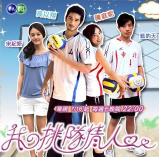 Volleyball Lover poster