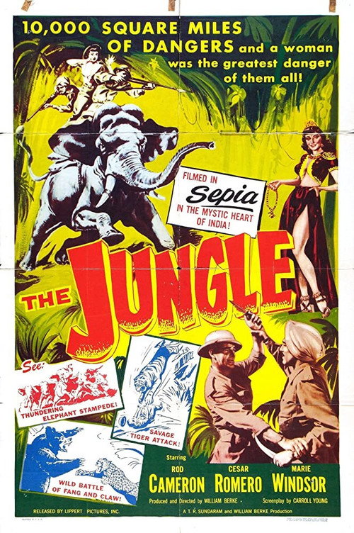 Kaadu poster