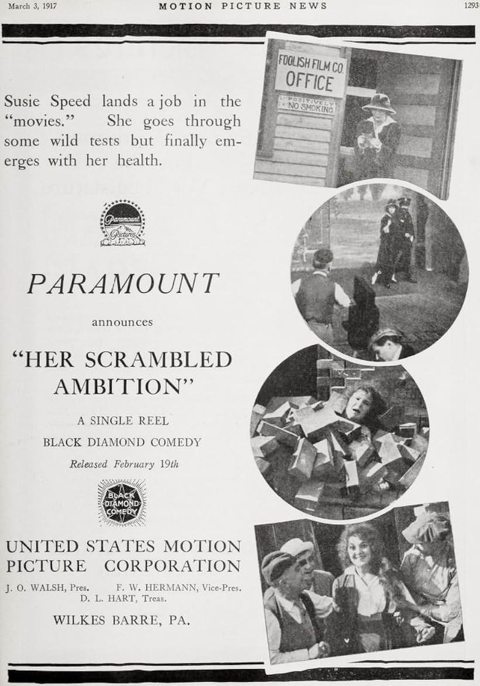Her Scrambled Ambition poster