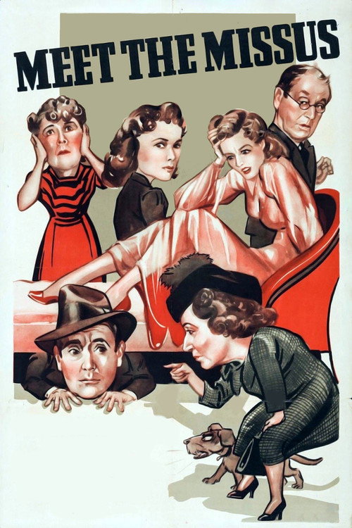 Meet the Missus poster