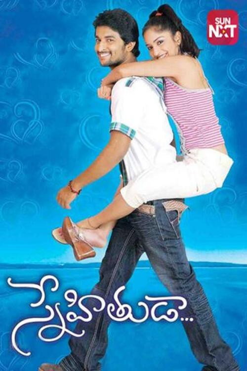 Snehituda... poster