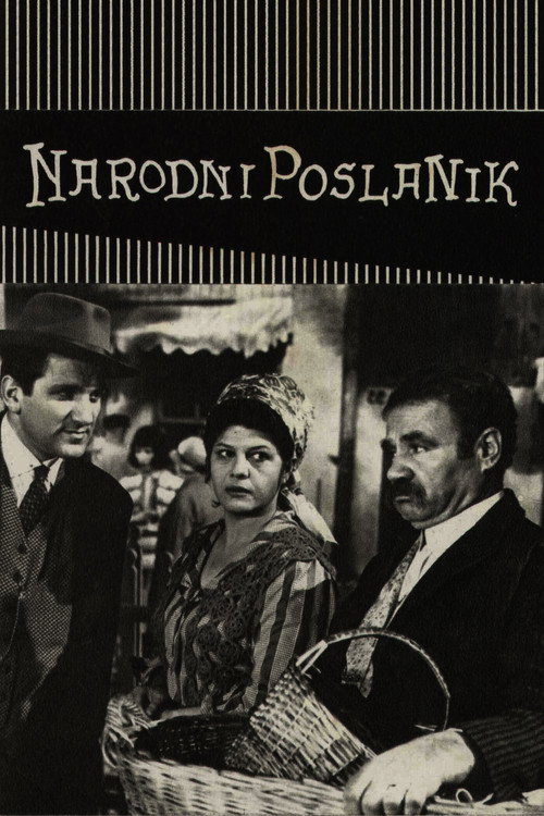 Narodni poslanik poster