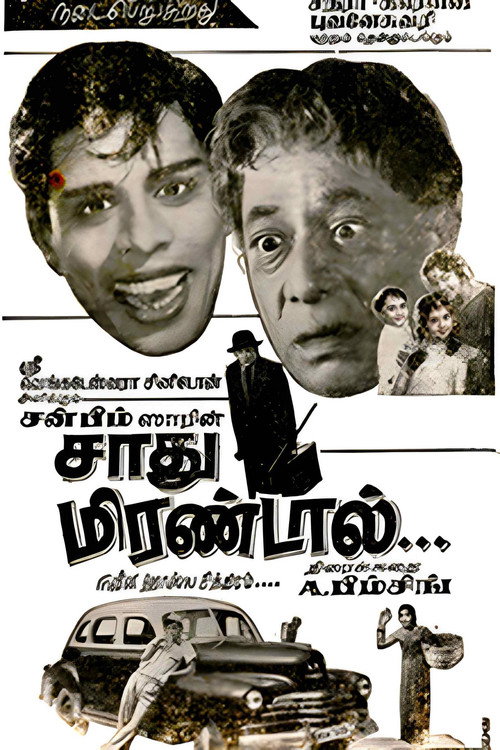 Sadhu Mirandal poster