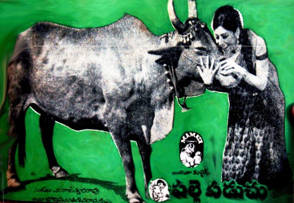 పల్లె పడుచు poster
