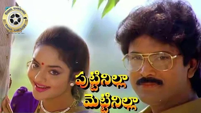 పుట్టినిల్లా మెట్టినిల్లా poster