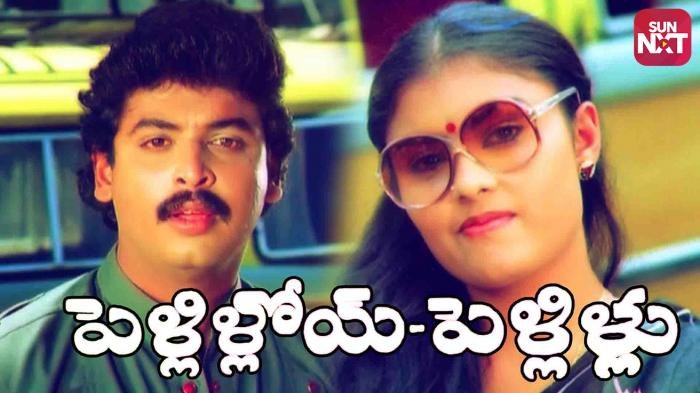 పెళ్ళిళ్లోయ్ పెళ్లిళ్లు poster