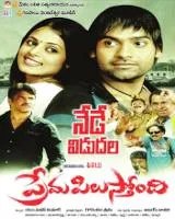 ప్రేమ పిలుస్తోంది poster