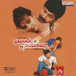 ప్రేమించేది ఎందుకమ్మా poster