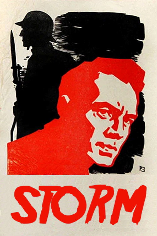 Storm poster