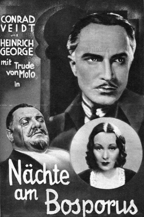 The Man Who Murdered poster