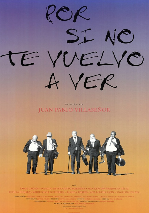 Por Si No Te Vuelvo a Ver poster
