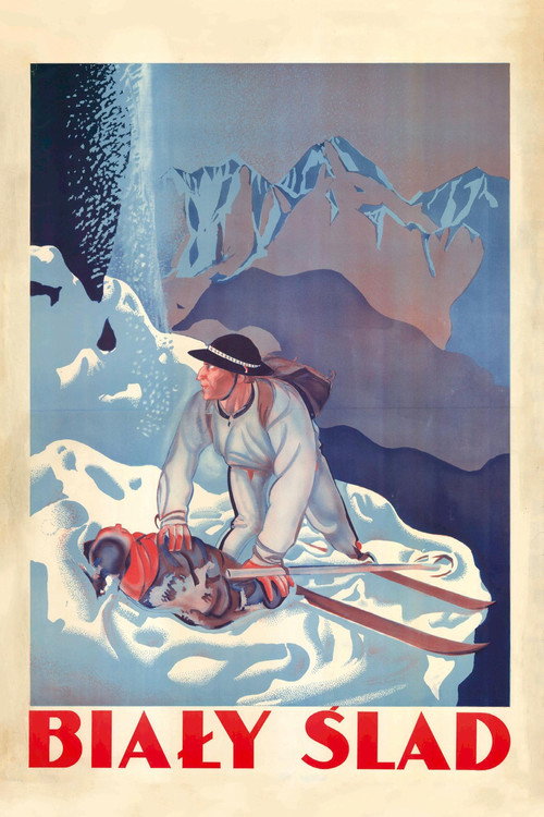 Biały ślad poster