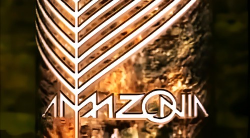 Amazônia - Parte II poster