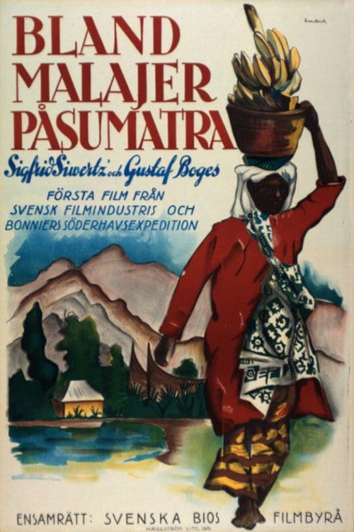 With Malays in Sumatra poster