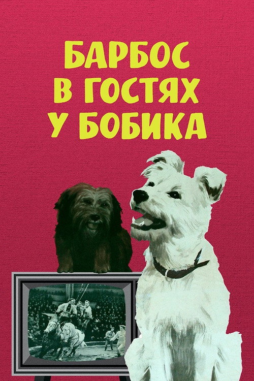 Барбос в гостях у Бобика poster