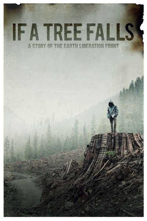 If a Tree Falls poster