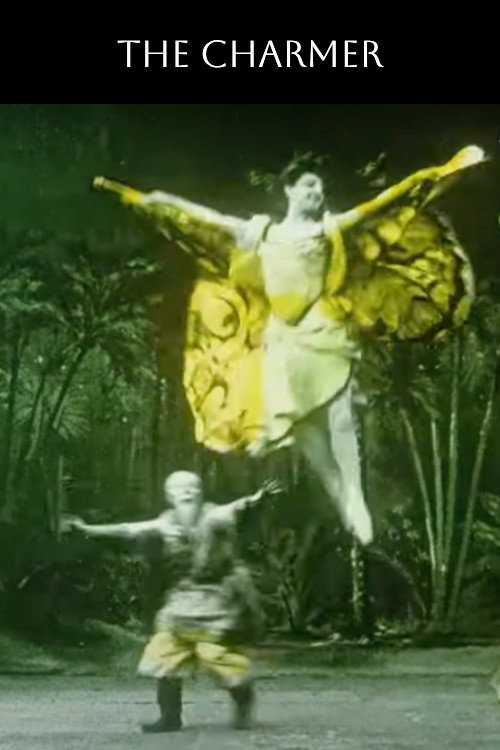 The Magician and the Butterfly poster