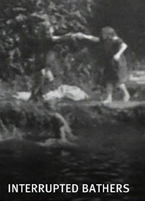 The Interrupted Bathers poster