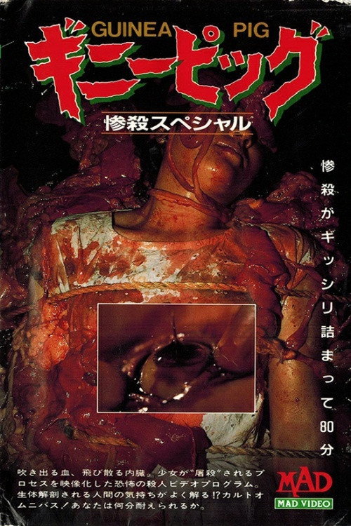 Slaughter Special poster