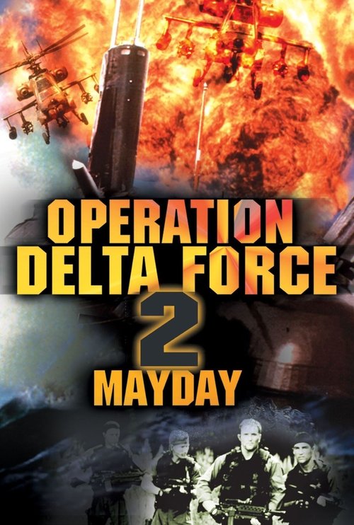 Operation Delta Force II poster