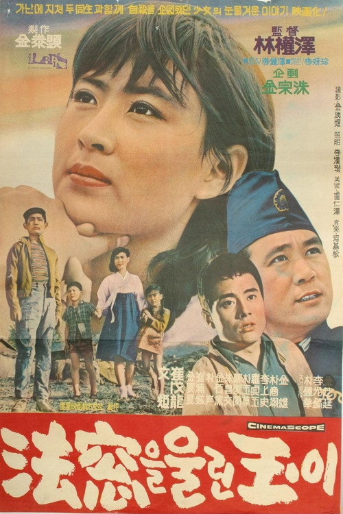 Miss Ok and the Divided Court poster