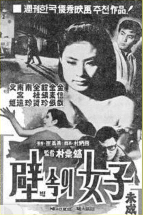 A Woman in the Wall poster