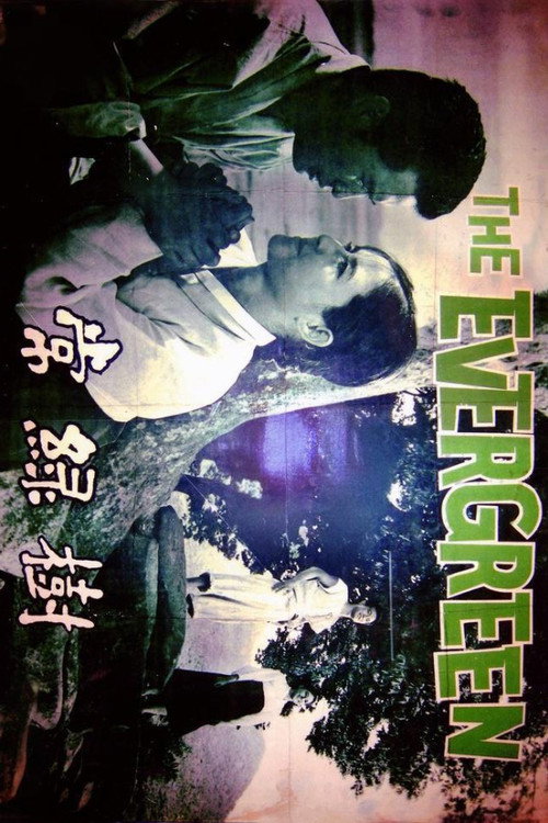 Evergreen Tree poster