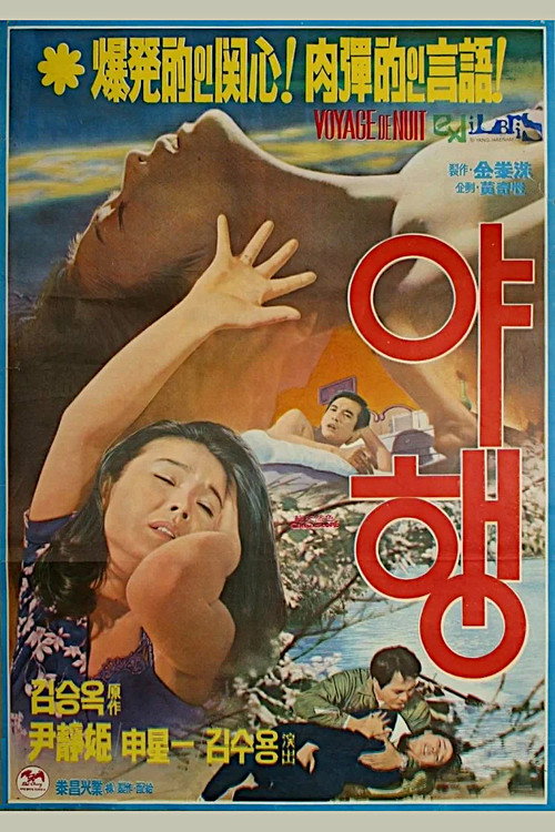 Night Voyage poster
