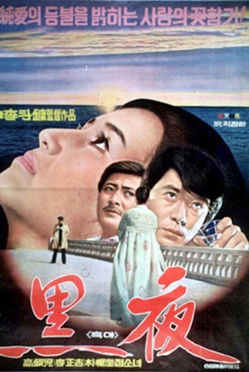 Black Night poster