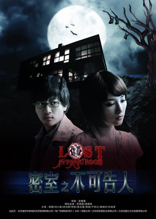 Lost in Panic Room poster