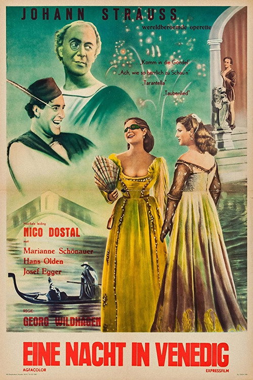 A Night in Venice poster