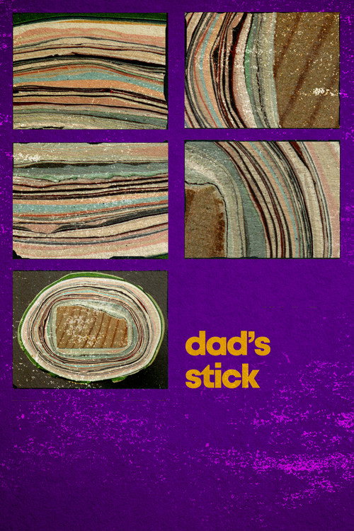Dad’s Stick poster