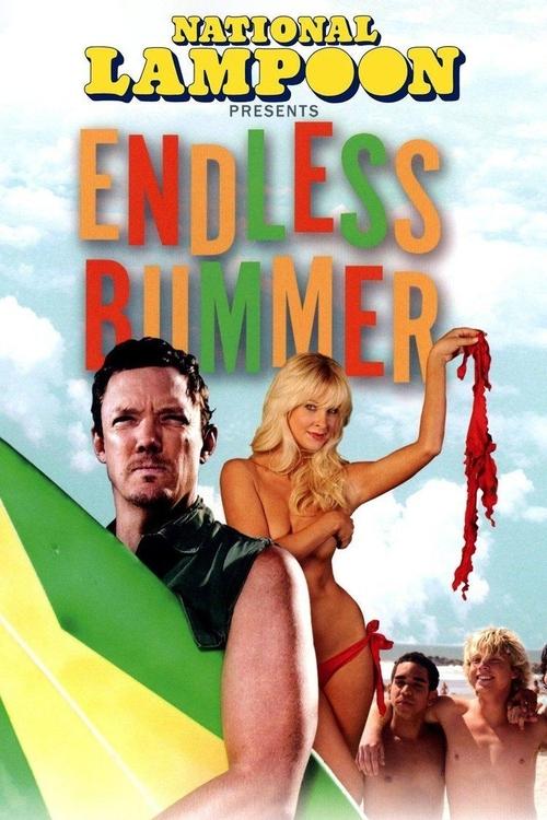Endless Bummer poster